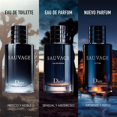 que tipo de perfume es sauvage dior|dior sauvage for men boots.